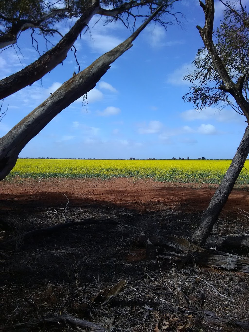 Sea Lake Travellers Rest | 65 Horace St, Sea Lake VIC 3533, Australia