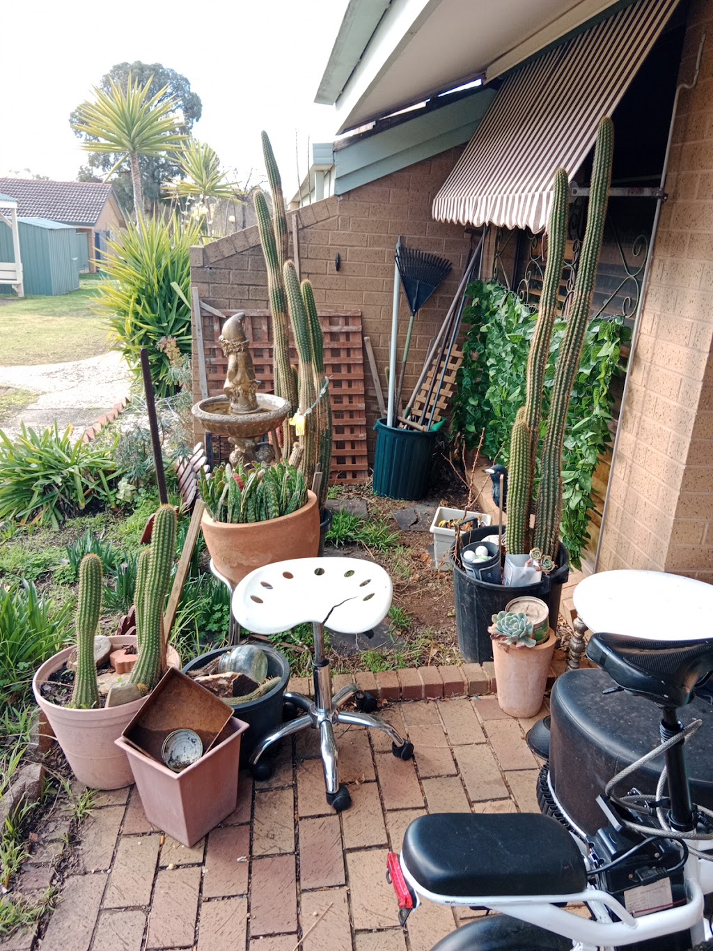 CITAS CHAIR | 26 Crespigny St, Talbot VIC 3371, Australia | Phone: 0460 892 347