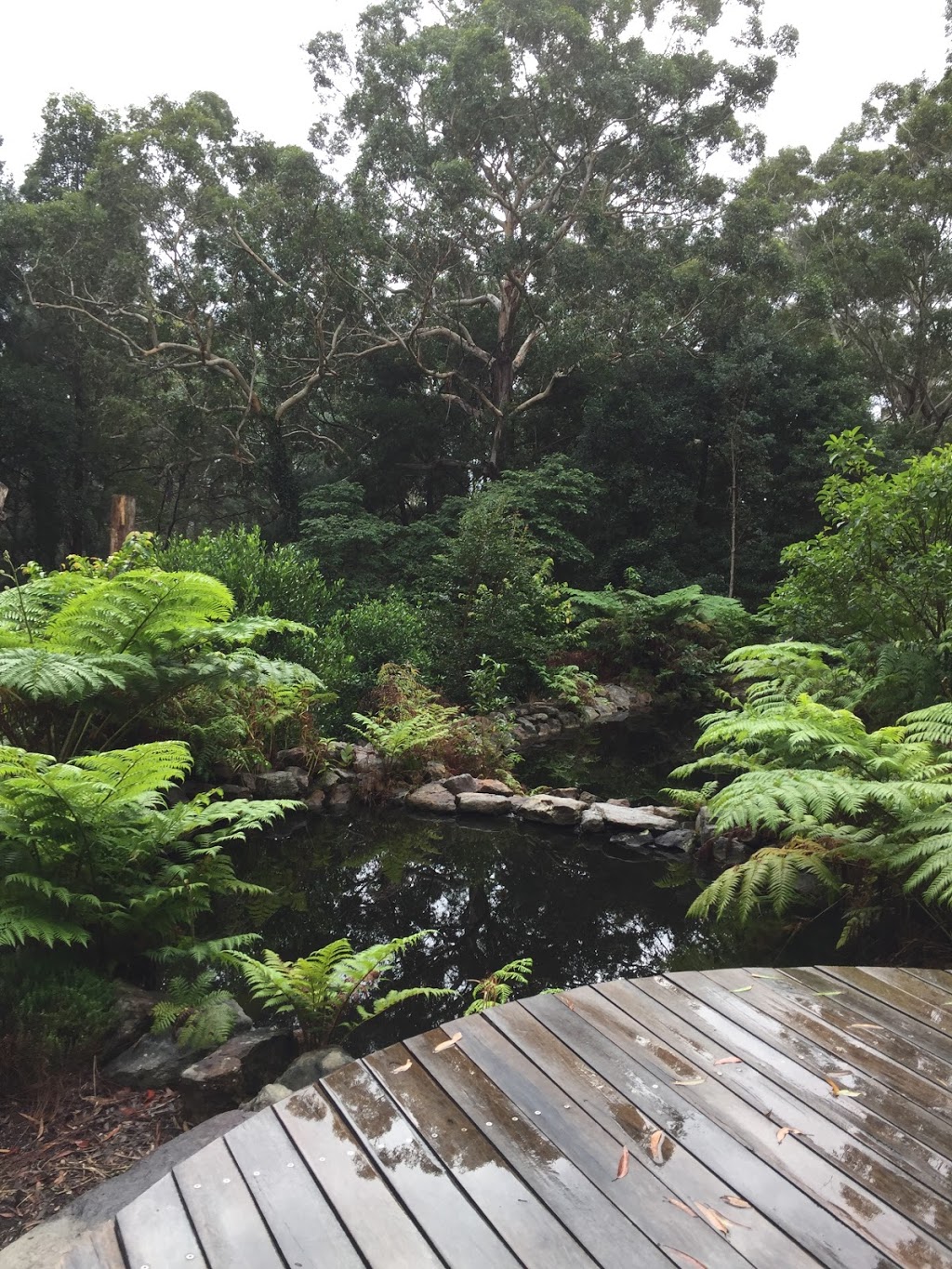 Booderee Botanic Gardens | park | Botanic Gardens Access, Jervis Bay JBT 2540, Australia