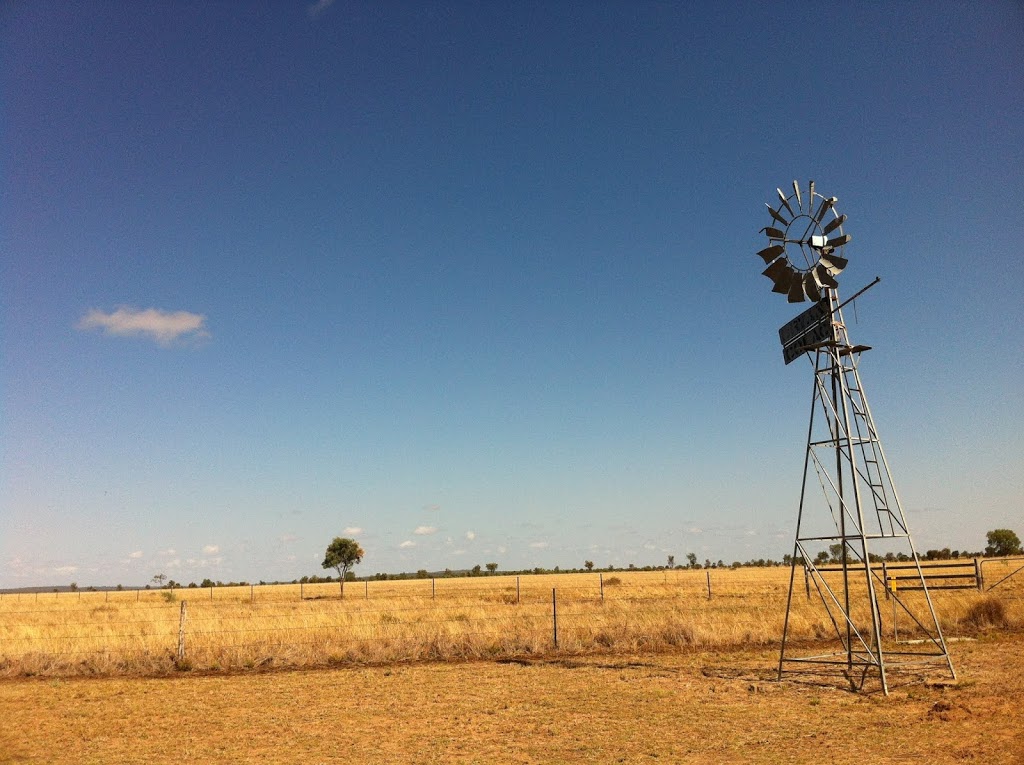 Evergreen Farms | 5449 Gregory Hwy, Emerald QLD 4720, Australia | Phone: 0487 367 175