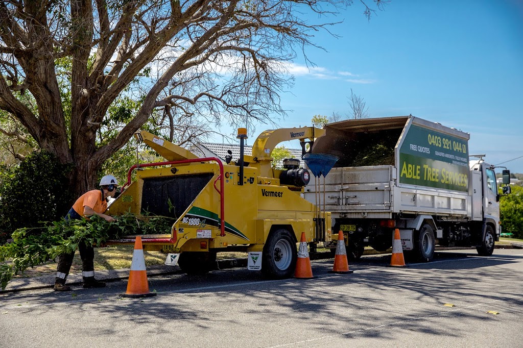 Able Tree Services |  | 75 Violet Town Rd, Tingira Heights NSW 2290, Australia | 0403221044 OR +61 403 221 044