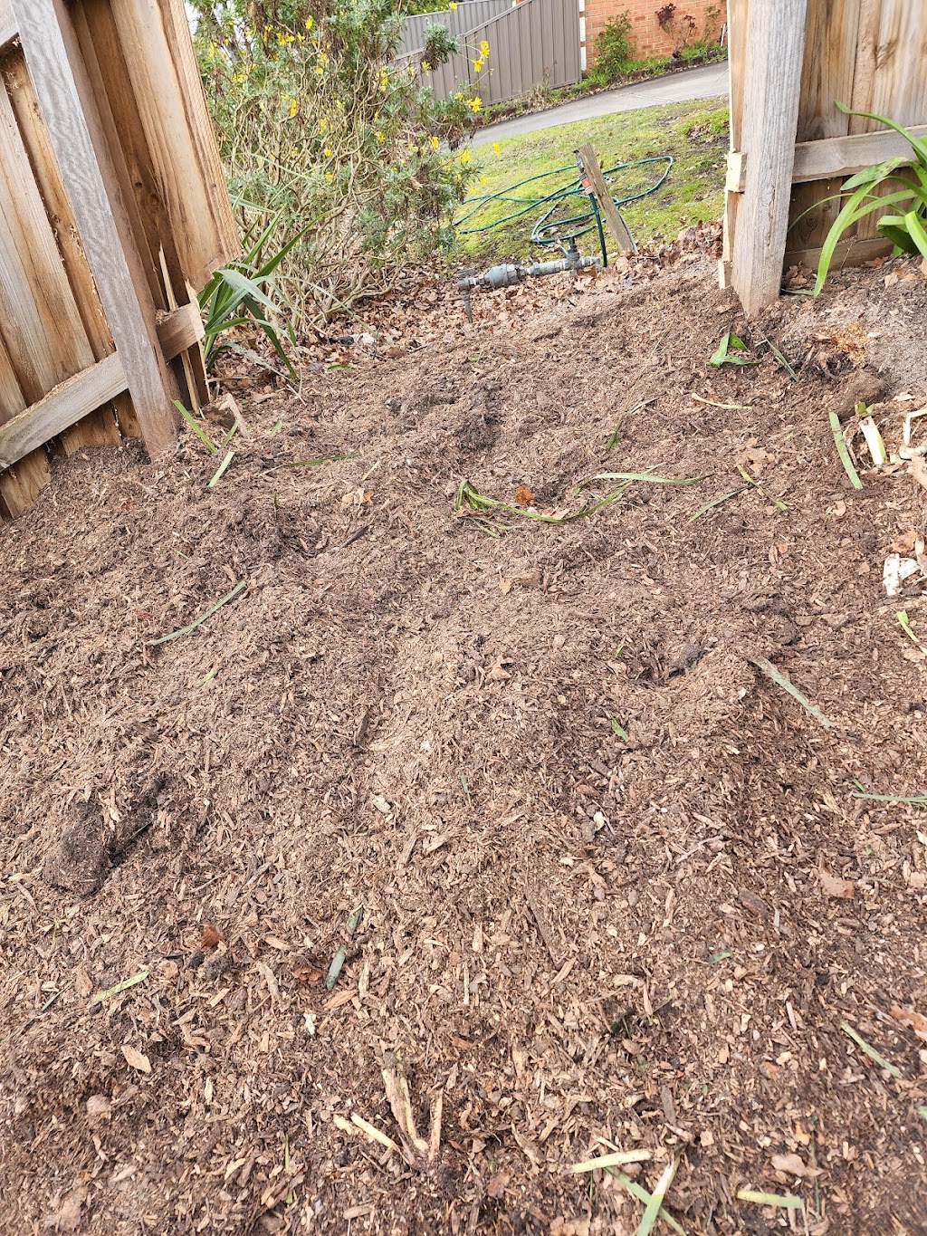 Removastump | 3 Harnett St, Boronia VIC 3155, Australia | Phone: 0425 736 571