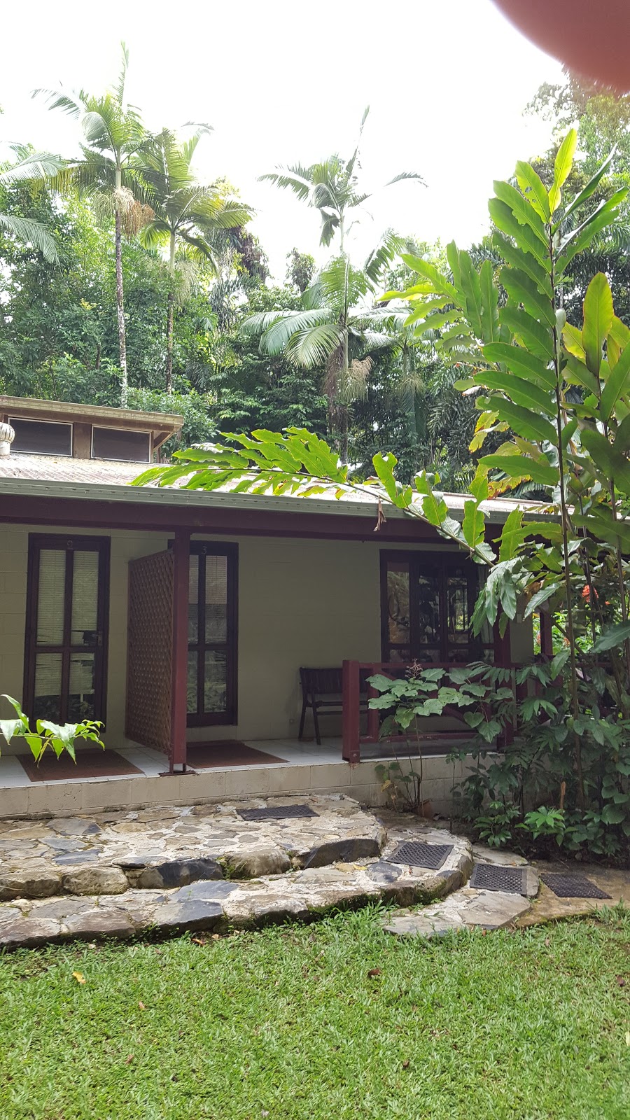 Daintree Deep Forest Lodge | 2159 Cape Tribulation Rd, Cape Tribulation QLD 4873, Australia | Phone: 0411 341 904