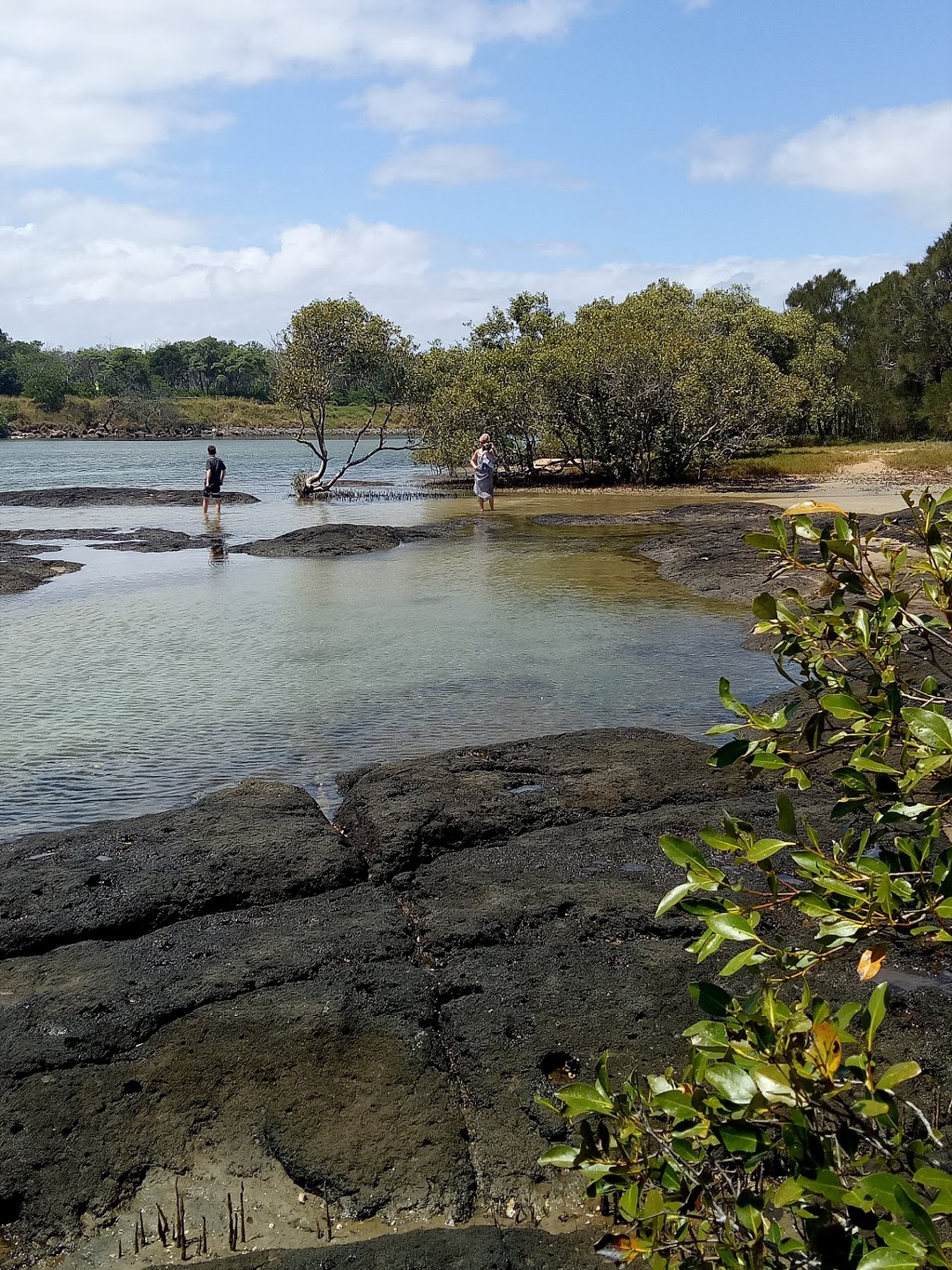 Ed Parker Rotary Park | park | 47 Sutherland St, Kingscliff NSW 2487, Australia