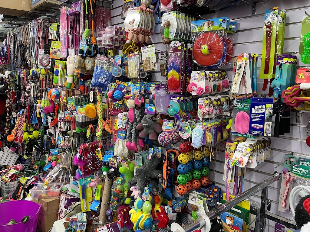 Pirate Treasure House | 120 Belmore St, Yarrawonga VIC 3730, Australia | Phone: (03) 5743 2676