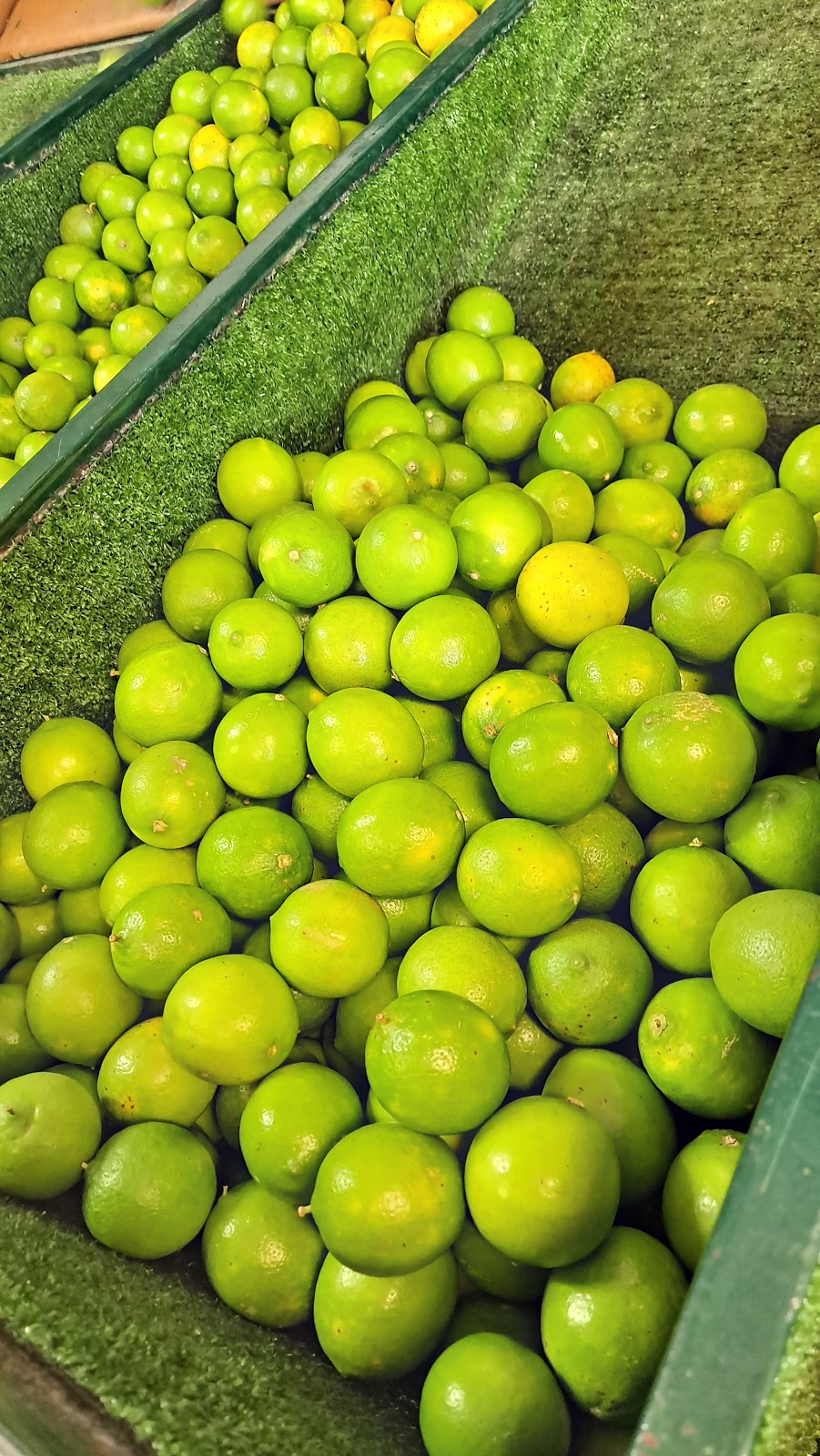 Watercress Creek Olives and Limes | 53 Bryces Rd, Pine Mountain QLD 4306, Australia | Phone: 0416 201 640