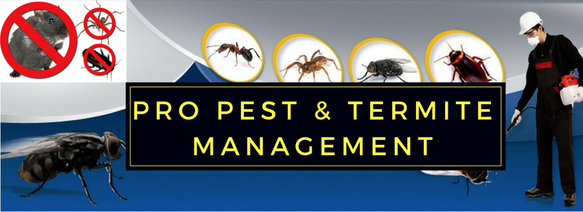 Pro Pest and Termite Management - Exterminator Services | home goods store | 47 McCredie Dr, Horningsea Park NSW 2171, Australia | 0450501962 OR +61 450 501 962