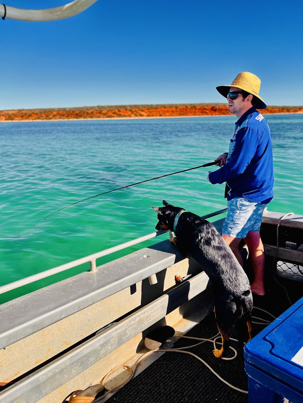 Monkey Mia Boat Hire Shark Bay | 60 Monkey Mia Rd, Denham WA 6537, Australia | Phone: 0487 421 690