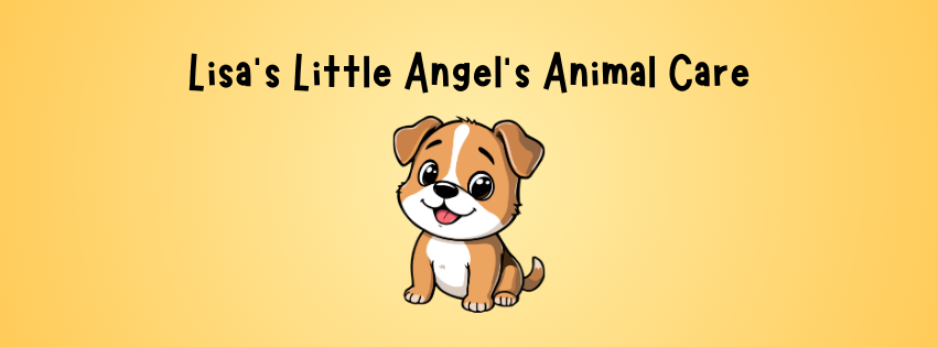 Lisas Little Angels Animal Care | 8A Biyung St, Fletcher NSW 2287, Australia | Phone: 0479 199 278