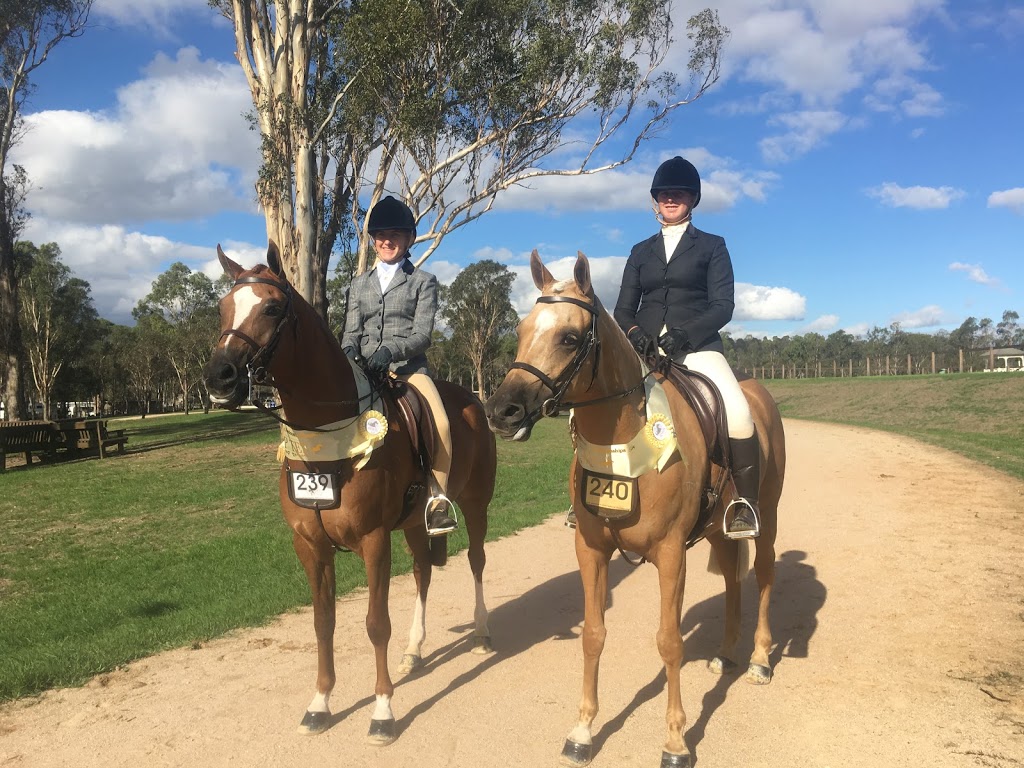 Tathren Stud and Riding School | 115 Old East Kurrajong Rd, Glossodia NSW 2756, Australia | Phone: 0409 361 690