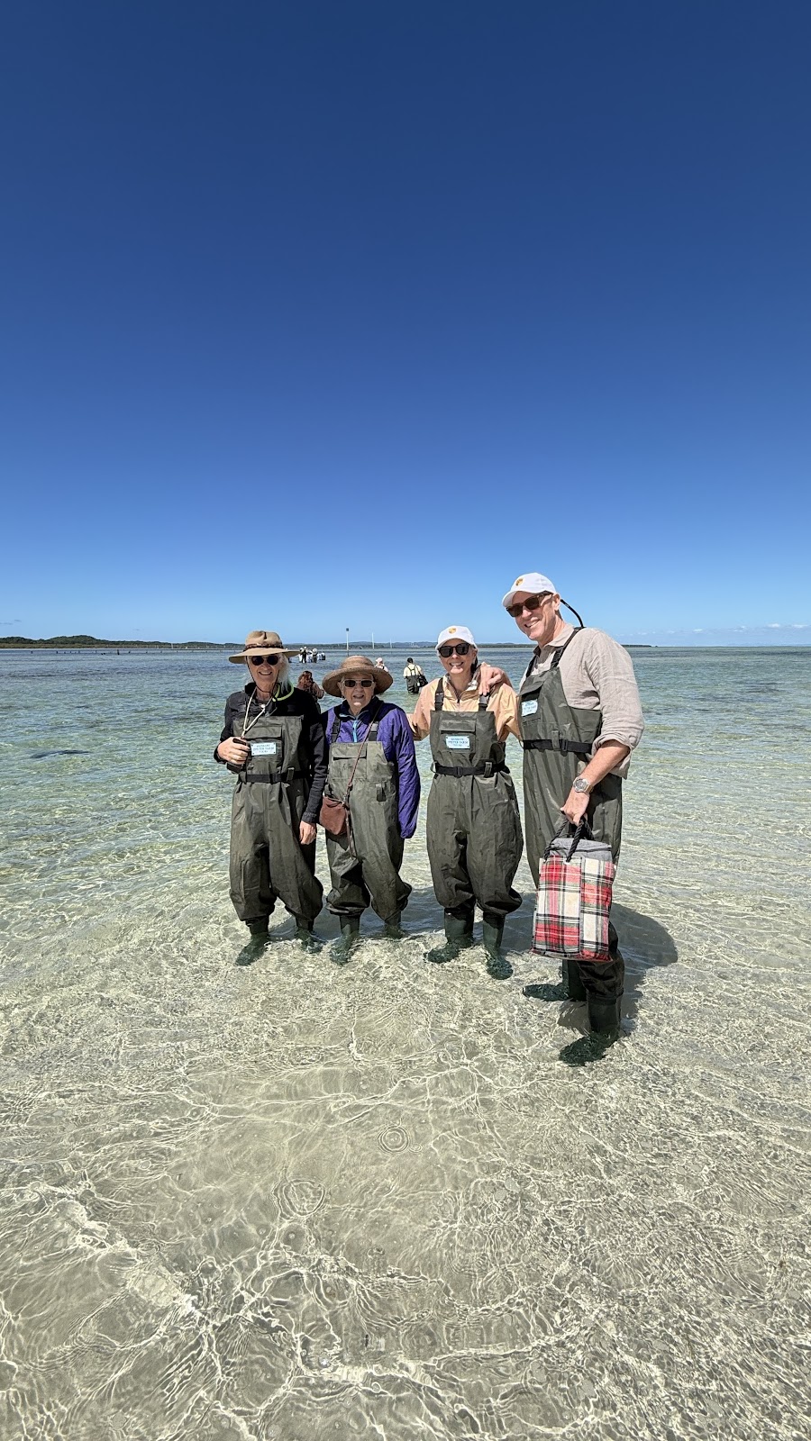 Brisbane Oyster Farm Tour | 19 Port Dr, Port Of Brisbane QLD 4178, Australia | Phone: 0402 686 267