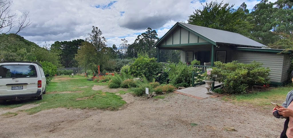 Folly Farm Blueberry Growers | 192 Falls Rd, Olinda VIC 3788, Australia | Phone: (03) 9751 2184