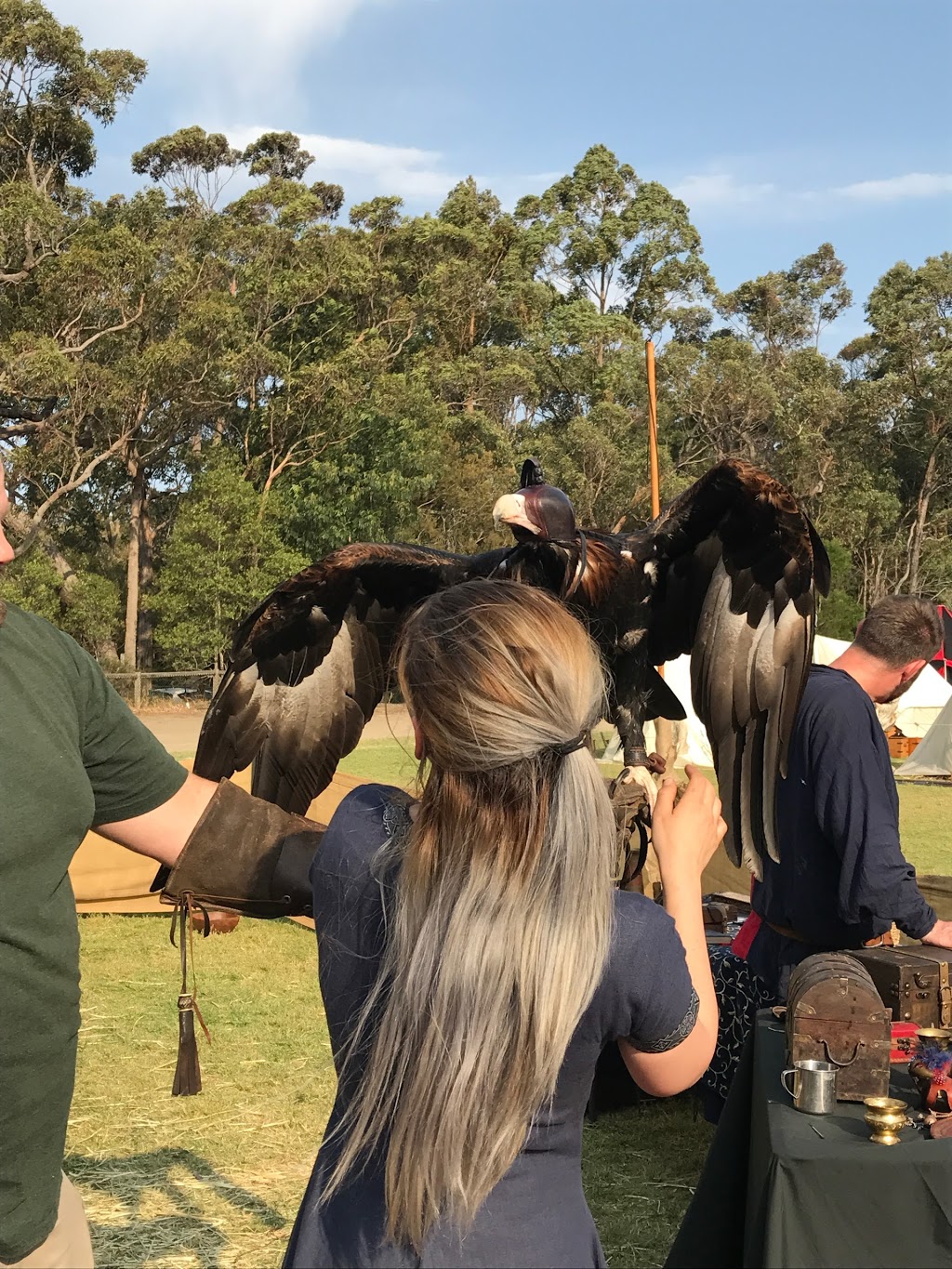 St Ives Medieval Faire | 450 Mona Vale Rd, St. Ives NSW 2085, Australia | Phone: (02) 9424 0000