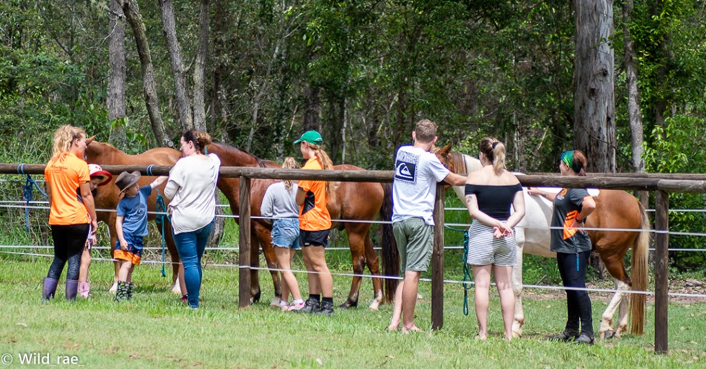 Maywood Equestrian & Horse Riding School |  | 140 Tagigan Rd, Goomboorian QLD 4570, Australia | 0423985211 OR +61 423 985 211