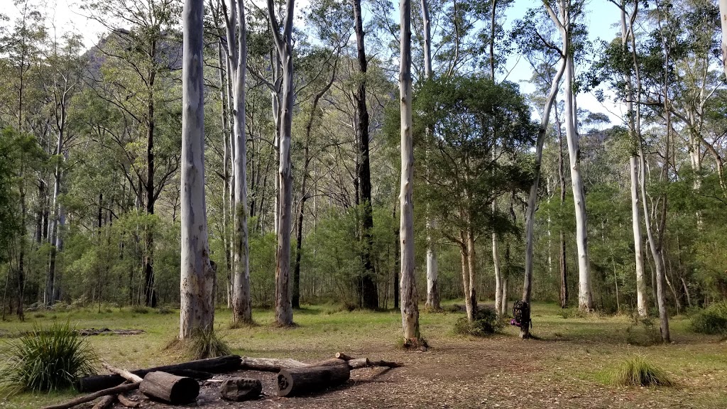Acacia Flat campground | campground | Junction Rock to Blue Gum Walking Track, Blue Mountains National Park NSW 2787, Australia | 0247878877 OR +61 2 4787 8877