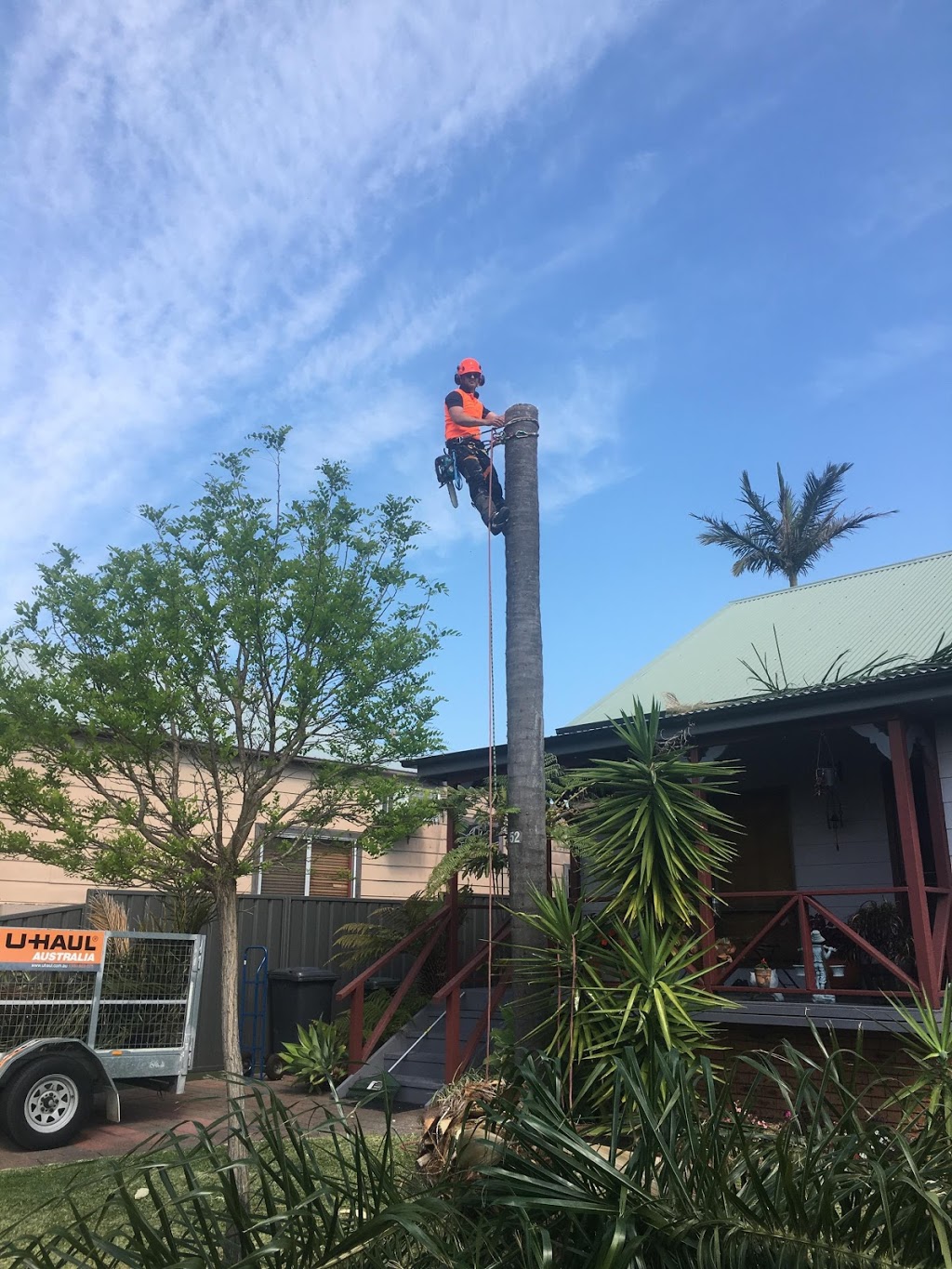 Eclipse Tree Services | 26 Goulburn St, Dudley NSW 2290, Australia | Phone: 0435 601 417