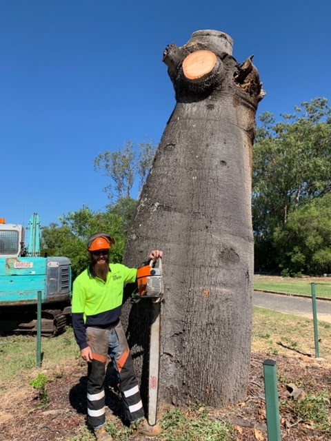 Boyne Island Tree Services | 1 Ronpen Cl, Tannum Sands QLD 4680, Australia | Phone: 0427 777 652