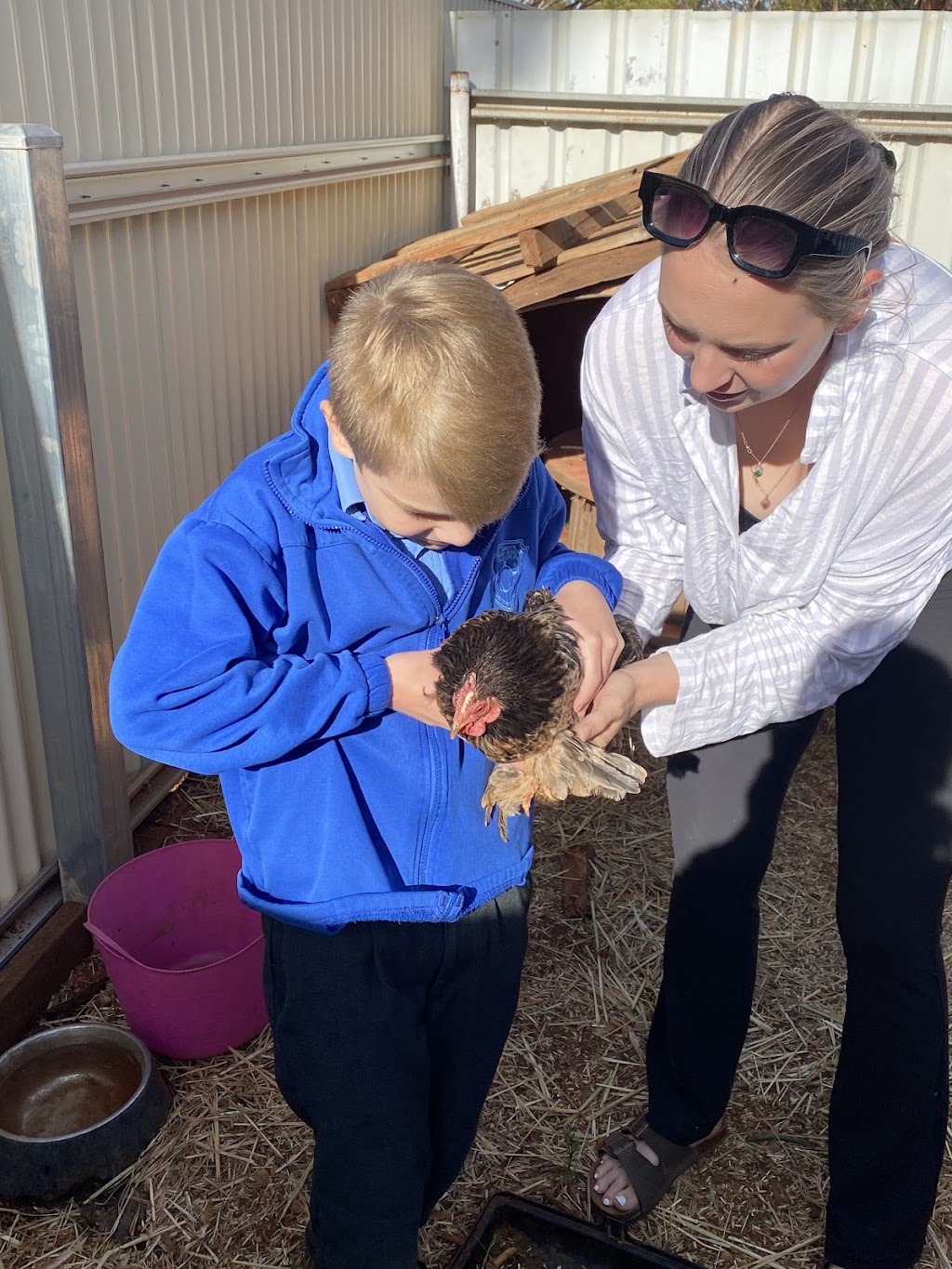 Breakthrough Education and Equine Academy | 379 Piccadilly St, West Lamington WA 6430, Australia | Phone: 0407 271 821
