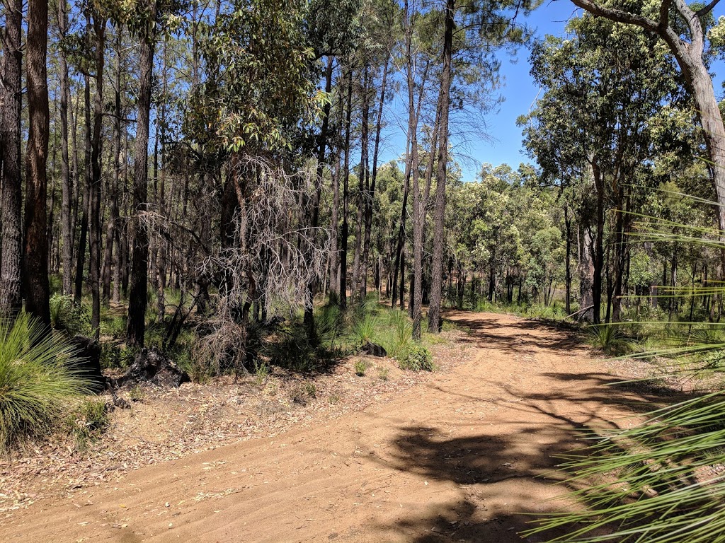 Beelu National Park | Mundaring Weir road, Mundaring WA 6073, Australia | Phone: (08) 9295 2244