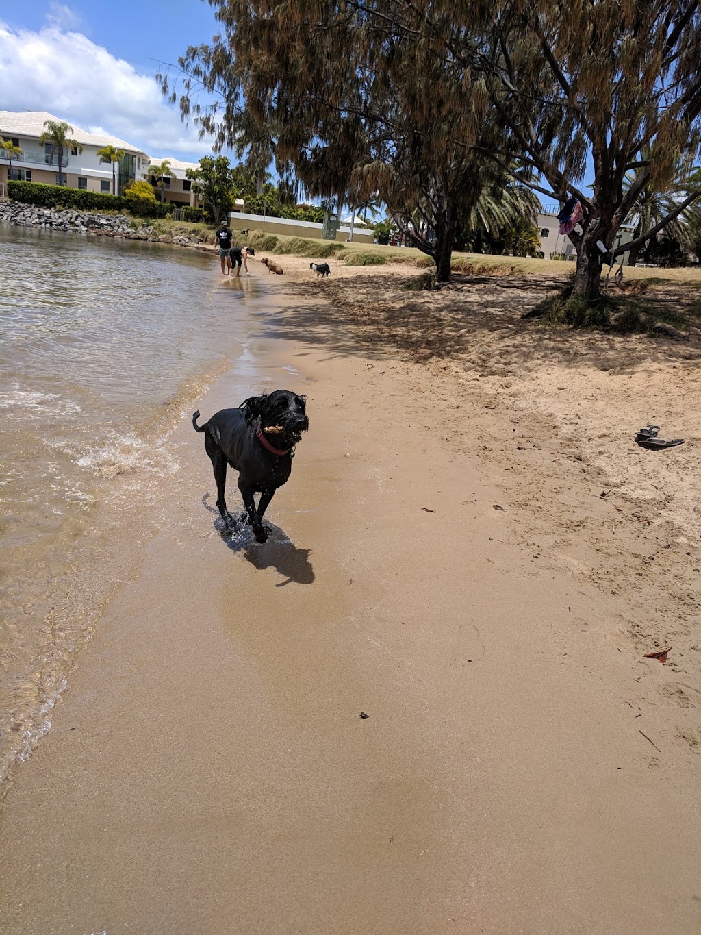 Raby Bay Dog Beach | Cleveland QLD 4163, Australia