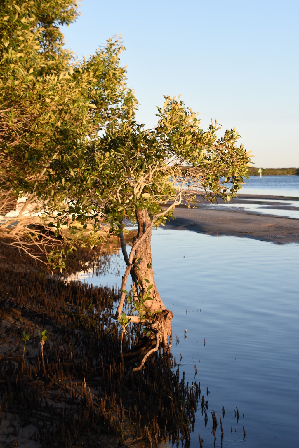 Keith Hill Park | park | Golden Beach QLD 4551, Australia