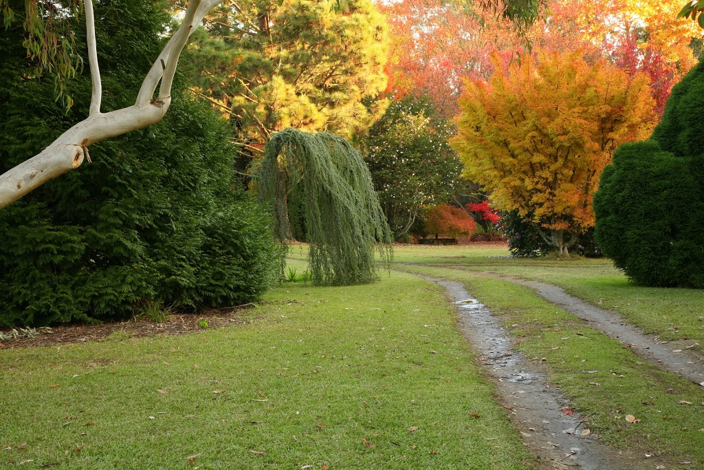 Mill Paddock Cottage | lodging | 1143 Mountain Lagoon Rd, Bilpin NSW 2758, Australia | 0245677254 OR +61 2 4567 7254