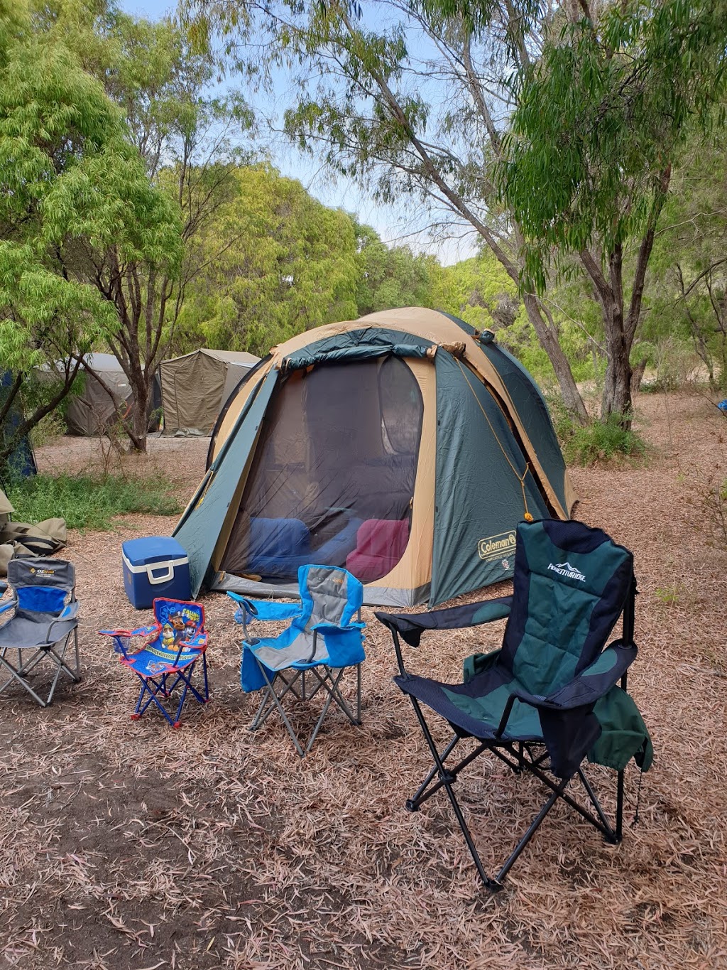 Conto - Quenda | campground | Boranup WA 6286, Australia
