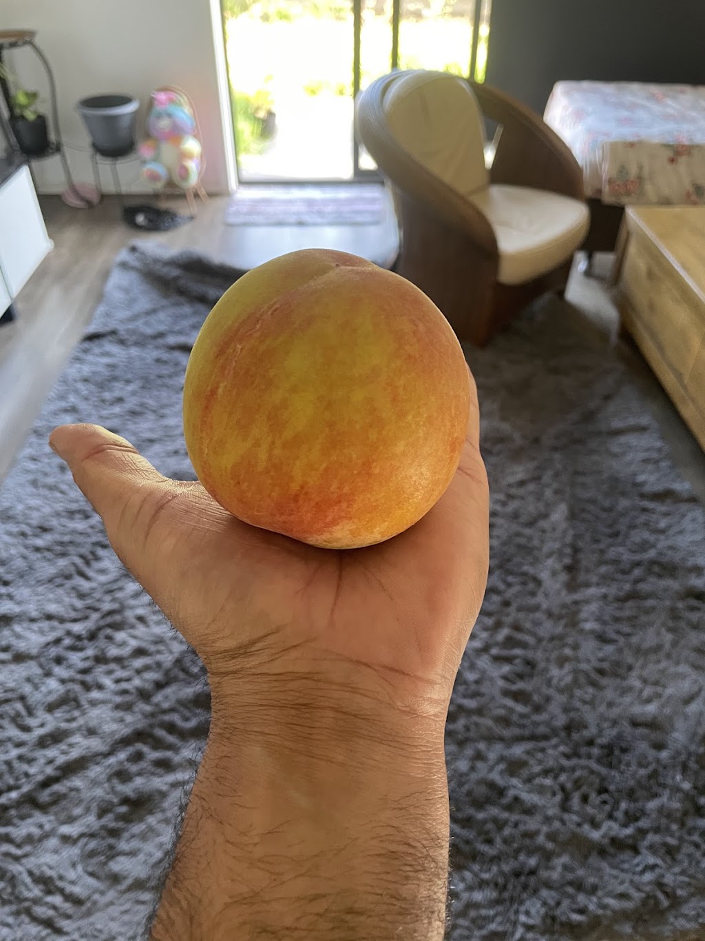 Tatura Farms | 1660 Pogue Rd, Tatura VIC 3616, Australia | Phone: 0490 078 930 Tatura Farms | 1660 Pogue Rd, Tatura VIC 3616, Australia | Phone: 0490 078 930