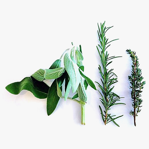 Whitsunday Herbal | health | 28 Tucker Rd, Riordanvale QLD 4800, Australia | 1300360200 OR +61 1300 360 200