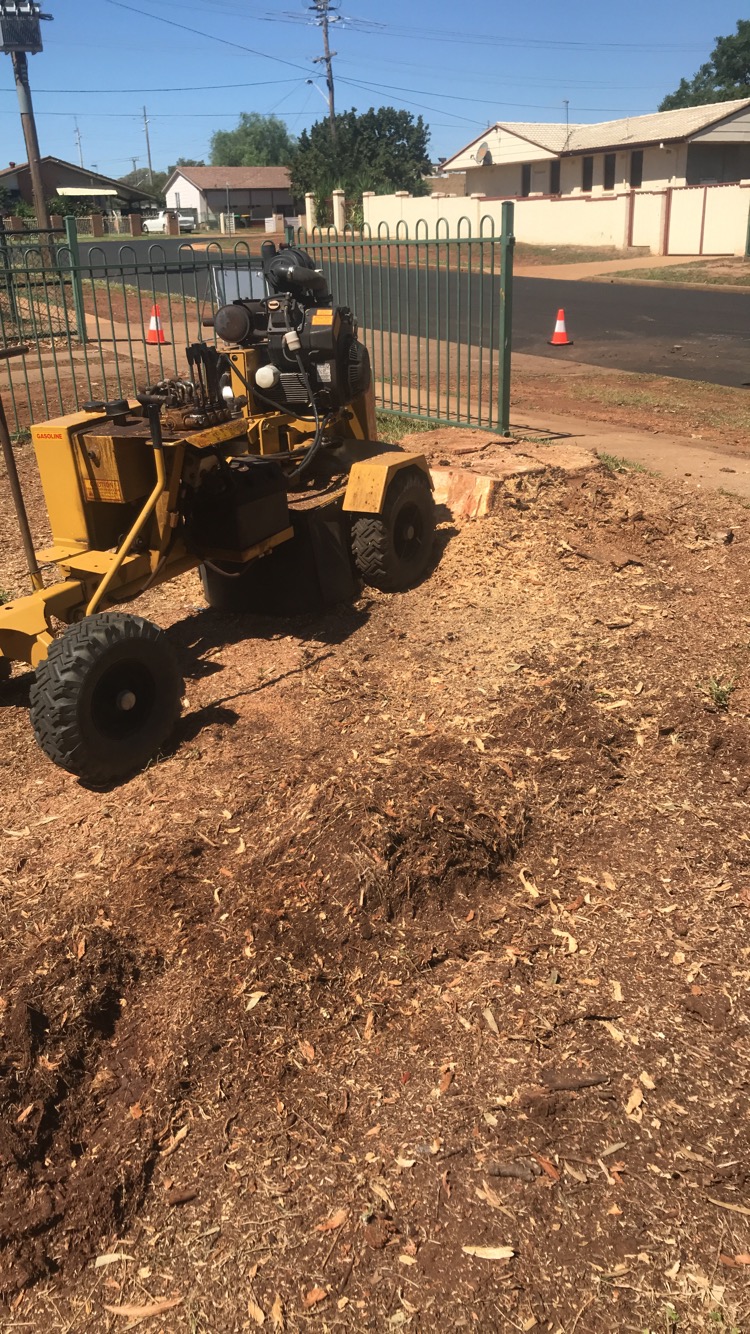 Ryans Tree Service | 16R Boundary Creek Rd, Dubbo NSW 2830, Australia | Phone: 0422 088 315