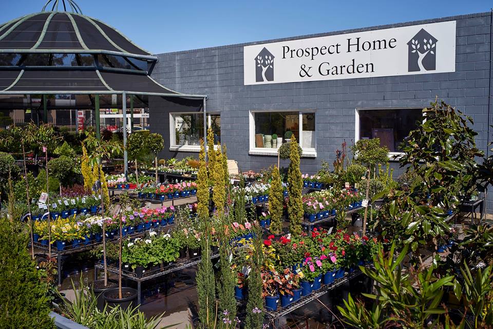 Prospect Home & Garden | 190 Main N Rd, Prospect SA 5082, Australia | Phone: (08) 8344 1181