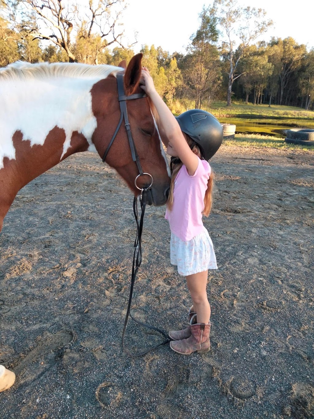 Anvil Acres - Equine Wellbeing | 2013 New England Hwy, Greta NSW 2334, Australia | Phone: 0409 155 402