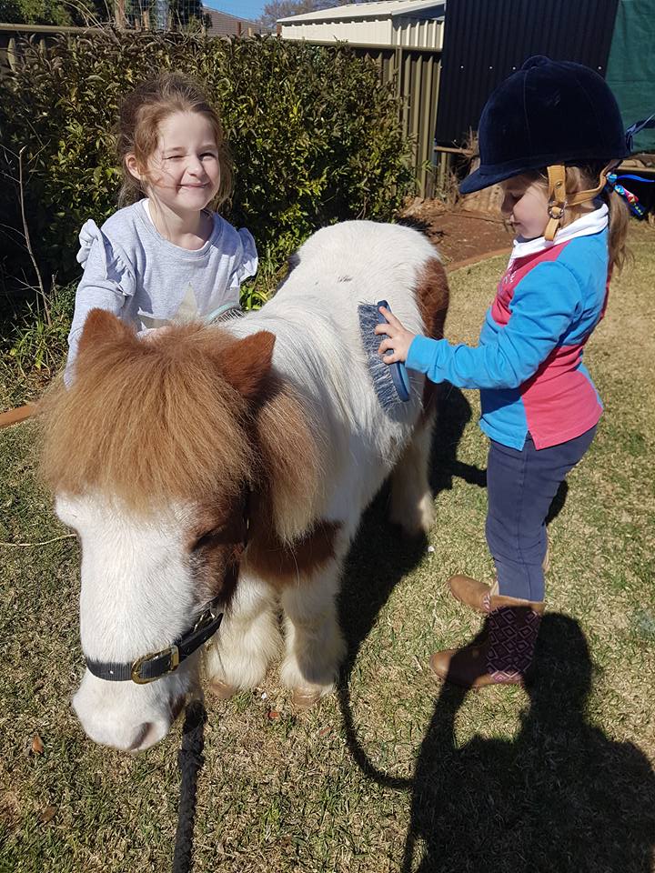 Outback Pony Rides | 27L Camp Rd, Dubbo NSW 2830, Australia | Phone: 0438 383 931