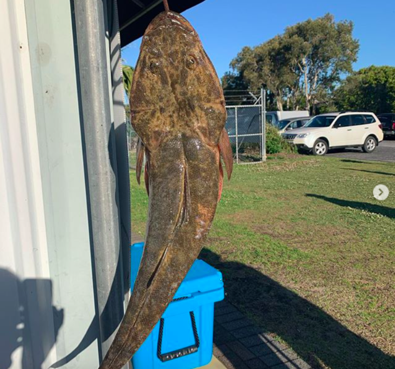 Yamba BBQ Boat and Fishing Runabout Hire | 3 Yamba Rd, Yamba NSW 2464, Australia | Phone: 0403 677 187