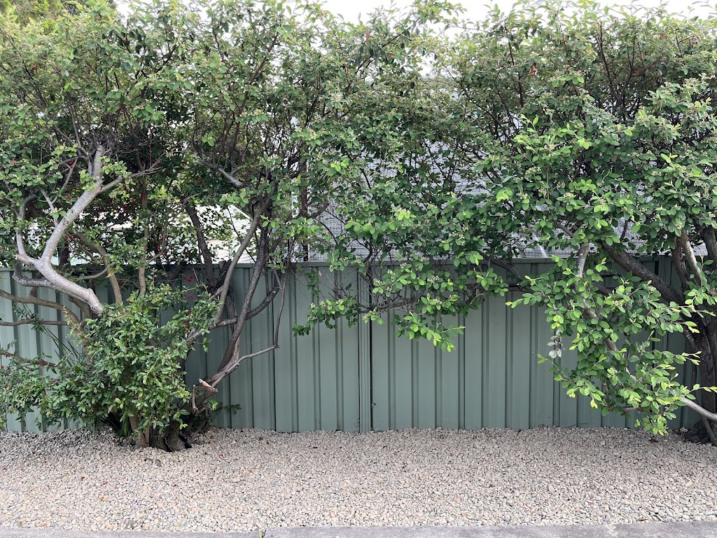 Roots Shoots & Leaves Garden Maintenance | 17 Connaghan Ave, East Corrimal NSW 2518, Australia | Phone: 0490 797 129