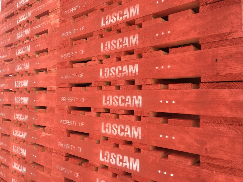 Loscam | 51-65 Nathan Rd, Dandenong South VIC 3175, Australia | Phone: (03) 9794 9898