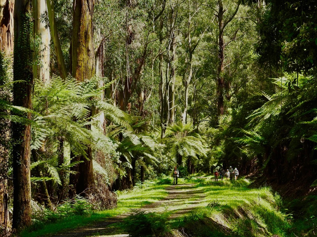 O’Shannassy Aqueduct Trail | park | Dee Rd, Millgrove VIC 3799, Australia | 131963 OR +61 131963