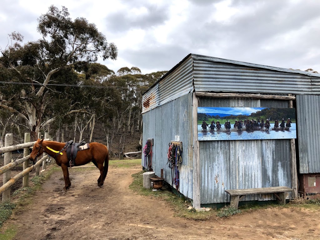 Thredbo Valley Horse Riding | 2627/1056 Alpine Way, Crackenback NSW 2627, Australia | Phone: (02) 6456 2142