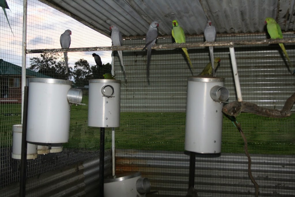 J and N Galea PVC Nest Boxes | 253-269 Horsley Rd, Horsley Park NSW 2175, Australia | Phone: 0411 209 748