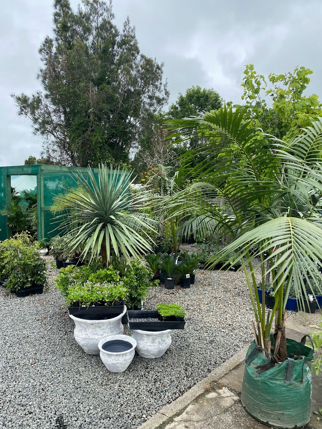 Plant Culture | 2/127 Princes Hwy, Milton NSW 2538, Australia | Phone: 0402 375 045