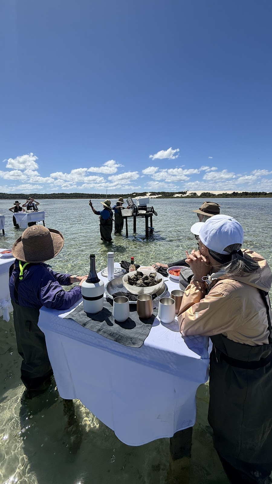 Brisbane Oyster Farm Tour | 19 Port Dr, Port Of Brisbane QLD 4178, Australia | Phone: 0402 686 267