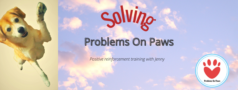 Problems On Paws |  | 60 Binalong Ave, Allambie Heights NSW 2100, Australia | 0406649633 OR +61 406 649 633