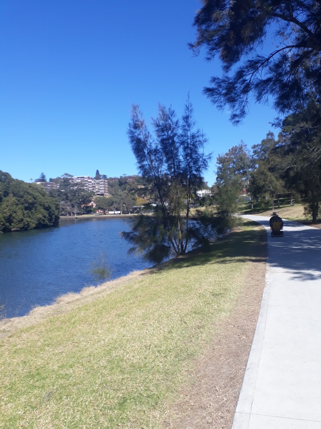 Beaman Park | park | Woods Parade, Earlwood NSW 2206, Australia