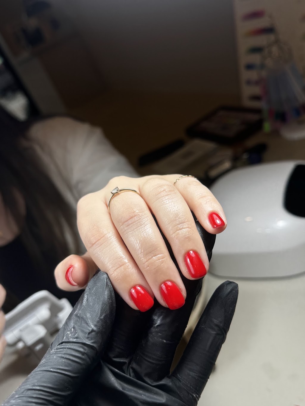 Lushly Studio | 665 Pittwater Rd, Dee Why NSW 2099, Australia | Phone: 0435 066 963