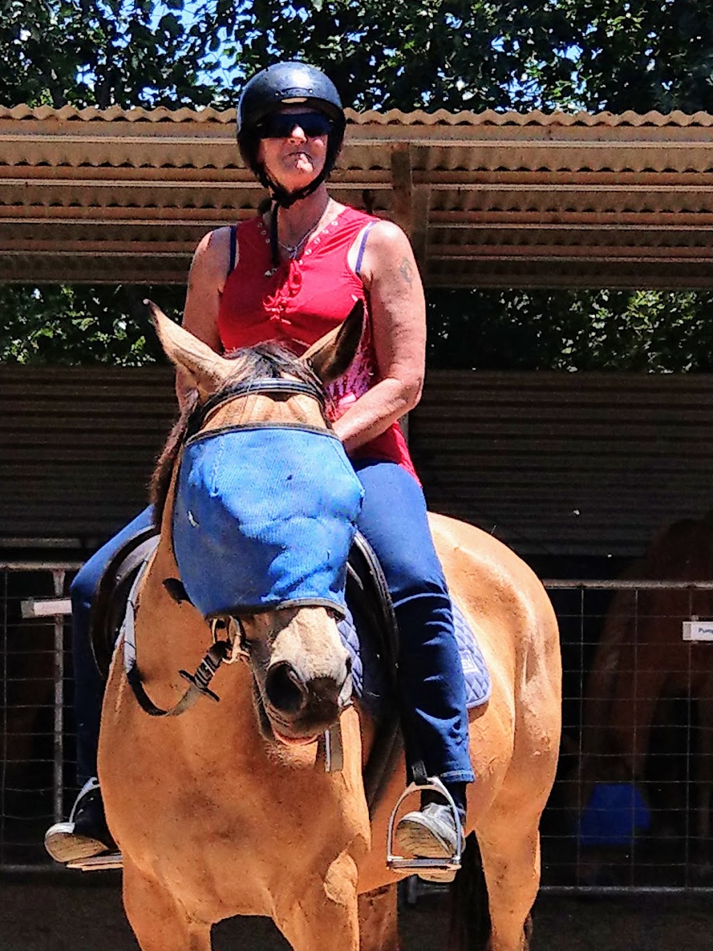 Forest Park Riding & Equitation School |  | 912 Cotter Rd, Stromlo ACT 2611, Australia | 0262874888 OR +61 2 6287 4888