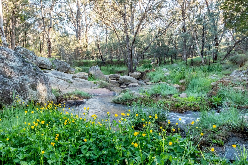 Spring Creek Walking Track | park | Beechworth VIC 3747, Australia