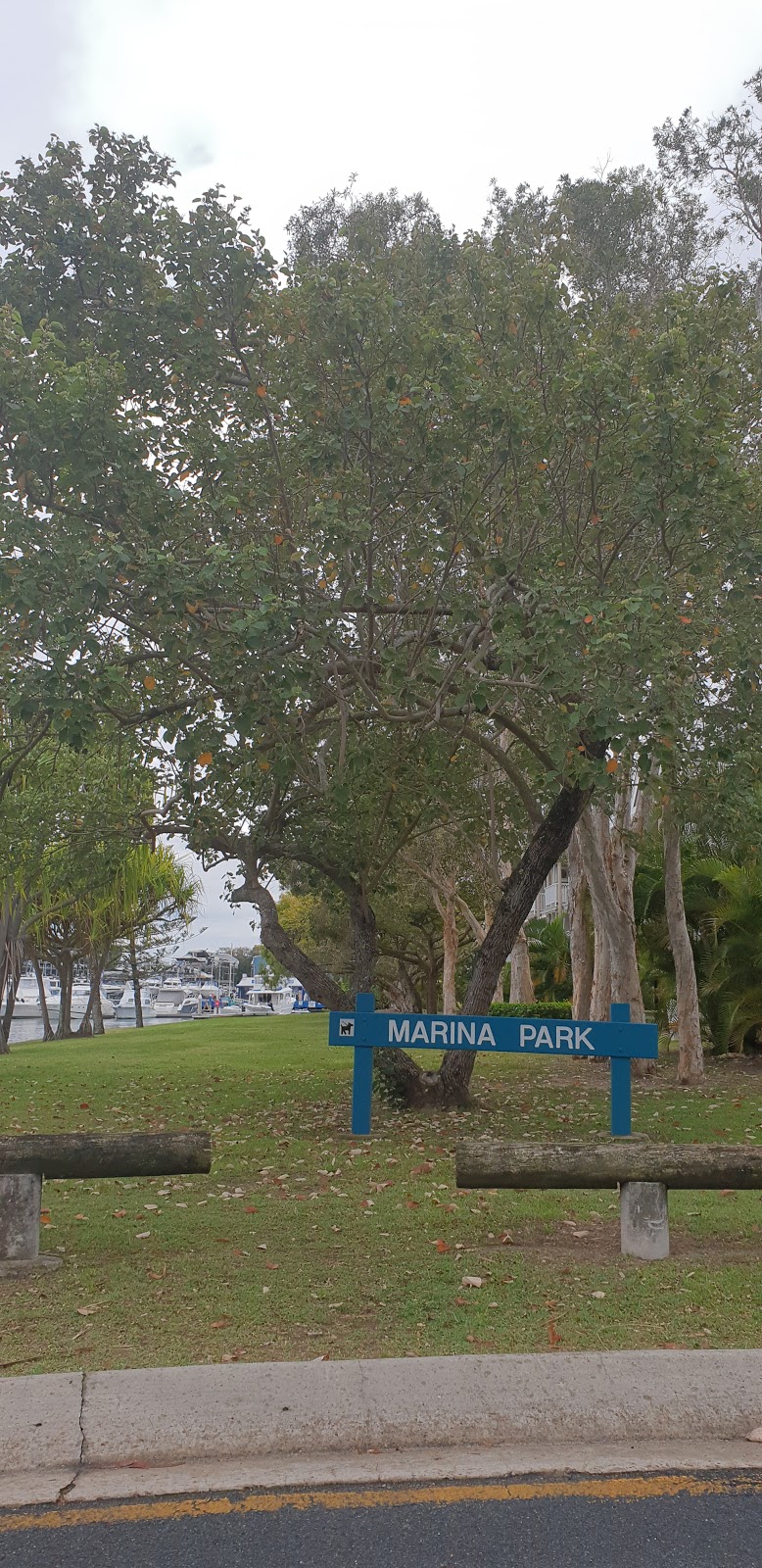 Marina Park | park | Marina Cres, Hollywell QLD 4216, Australia