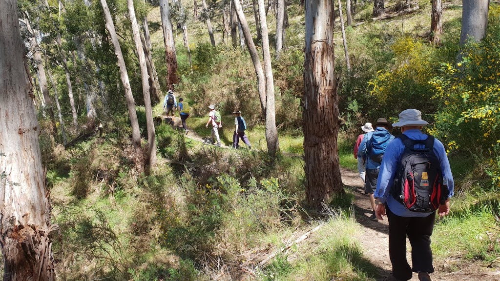 Lifes An Adventure | 4/23 Narabang Way, Belrose NSW 2085, Australia | Phone: (02) 9975 4553