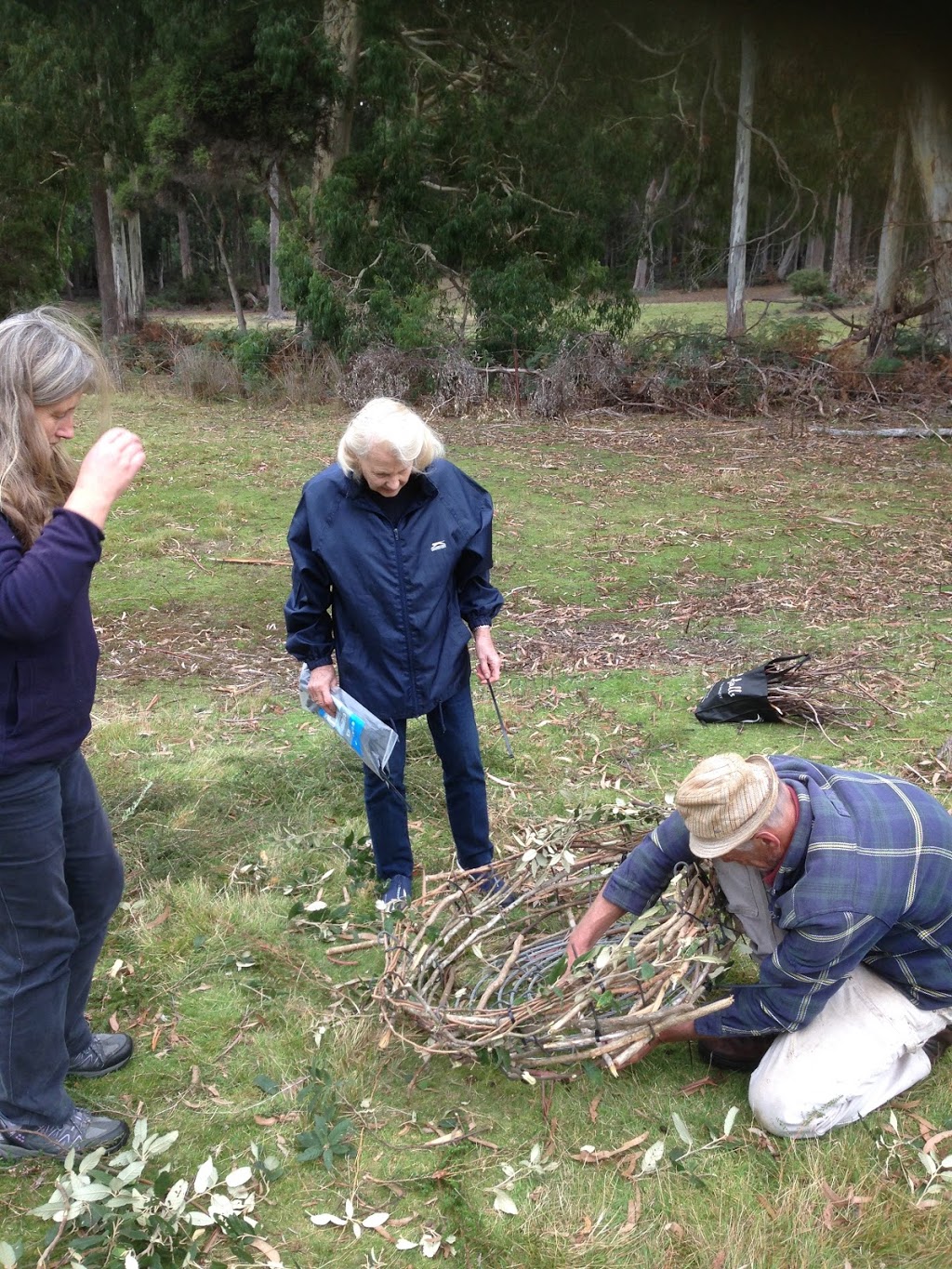 Tree Needs | 4 Lantana Rd, Cape Woolamai VIC 3925, Australia | Phone: 0468 957 564