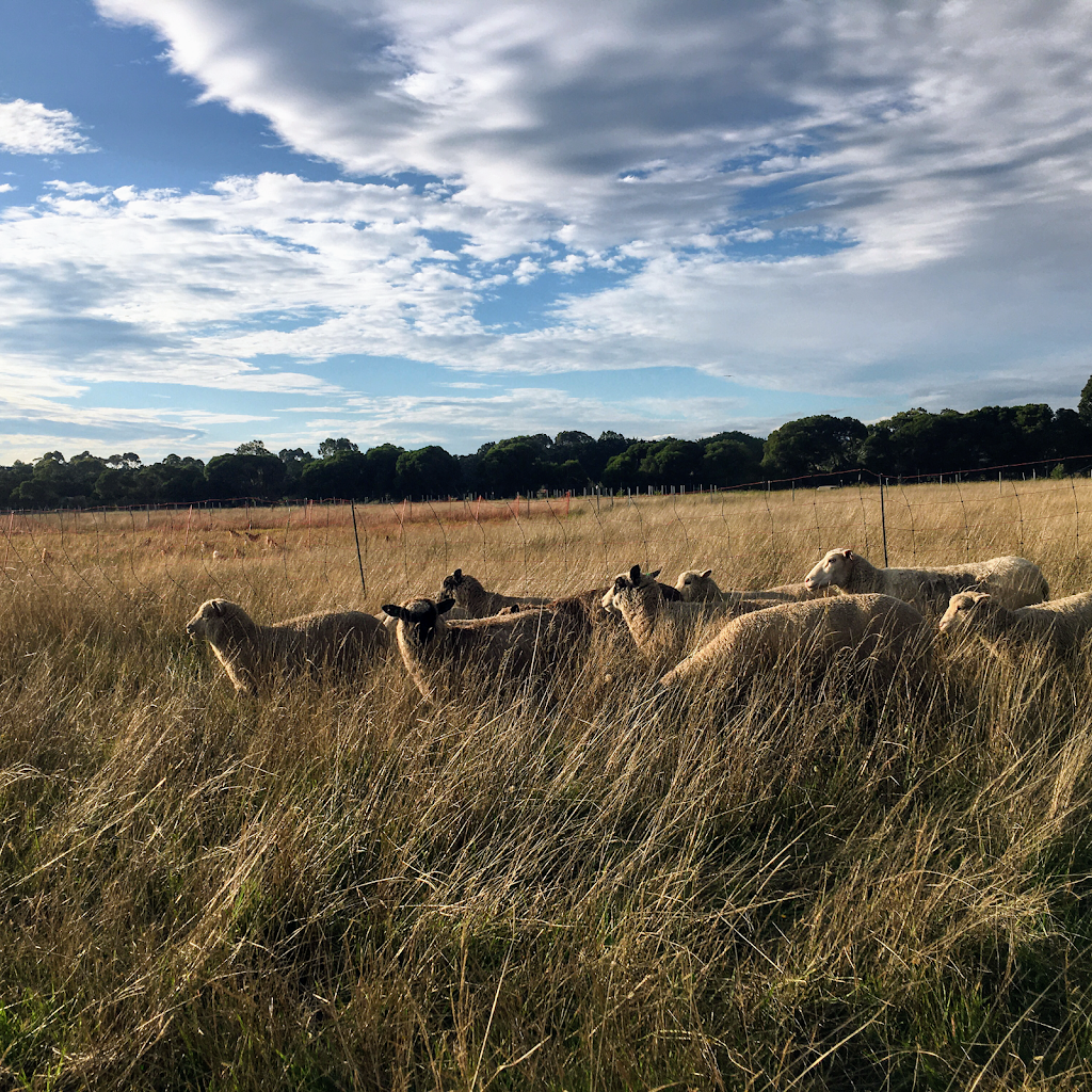 Heritage Farm | food | 1494 Stumpy Gully Rd, Moorooduc VIC 3933, Australia | 0451207895 OR +61 451 207 895